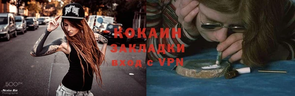 молекула духа Арсеньев