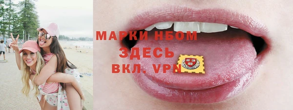 молекула духа Арсеньев