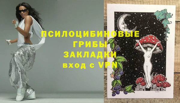 молекула духа Арсеньев