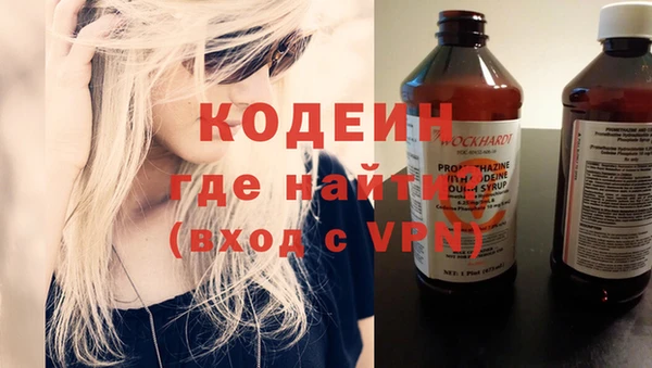молекула духа Арсеньев