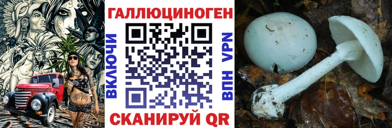 Псилоцибиновые грибы ЛСД  Гудермес 