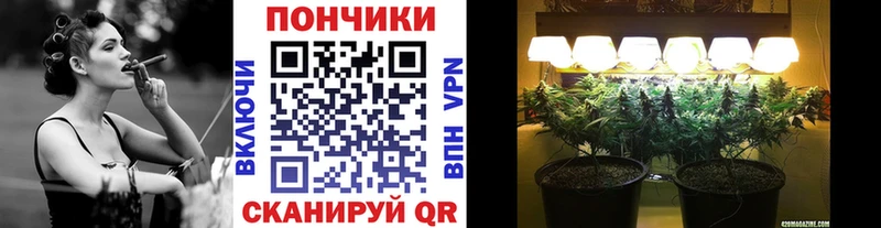 наркота  Гудермес  кракен как зайти  МАРИХУАНА VHQ 